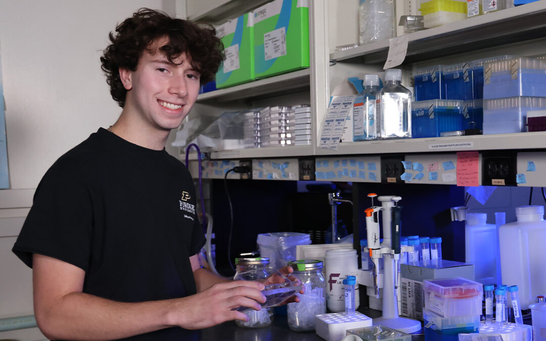Daring to Discover: How a Passion for Research Drives Sam King
