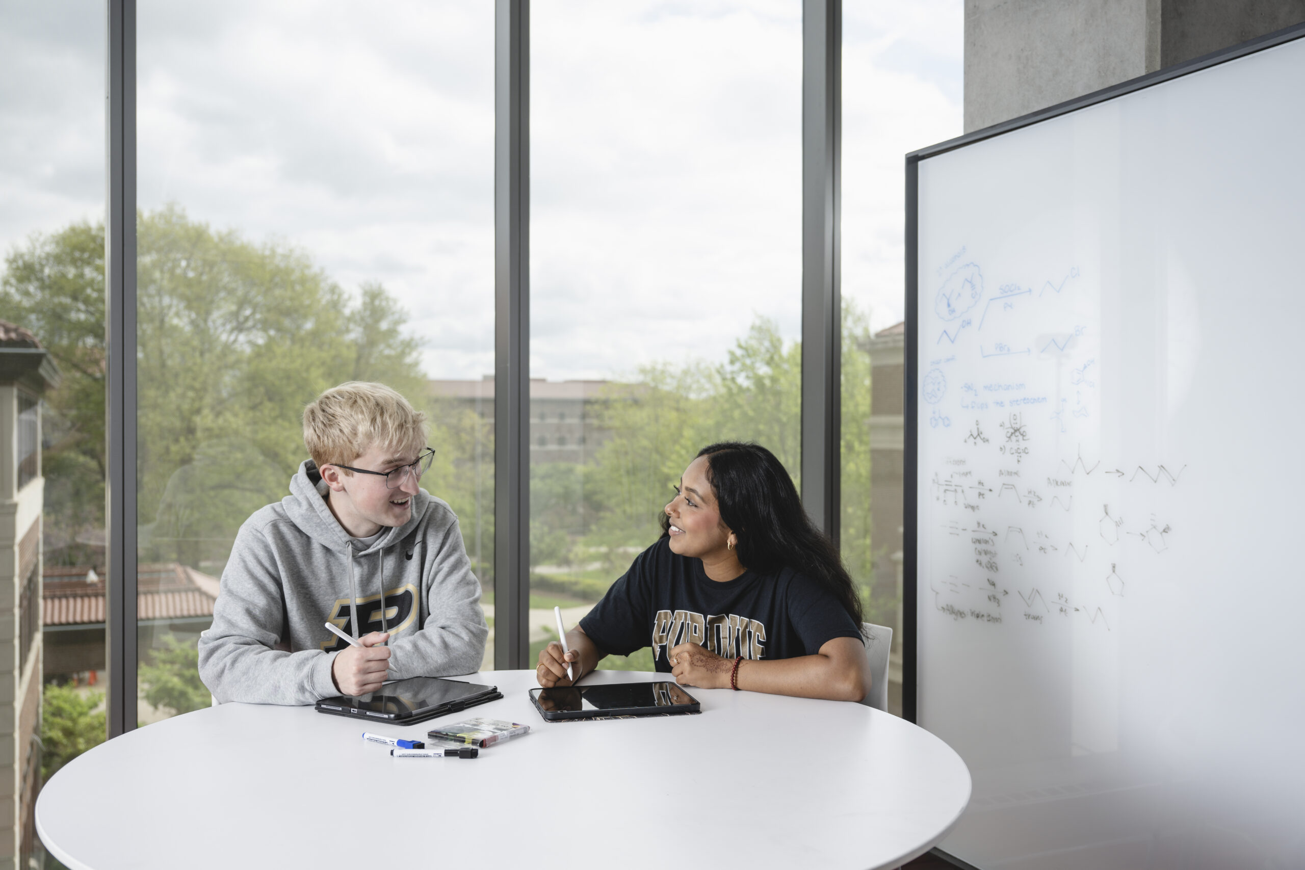 Two pharmacy students studying together.