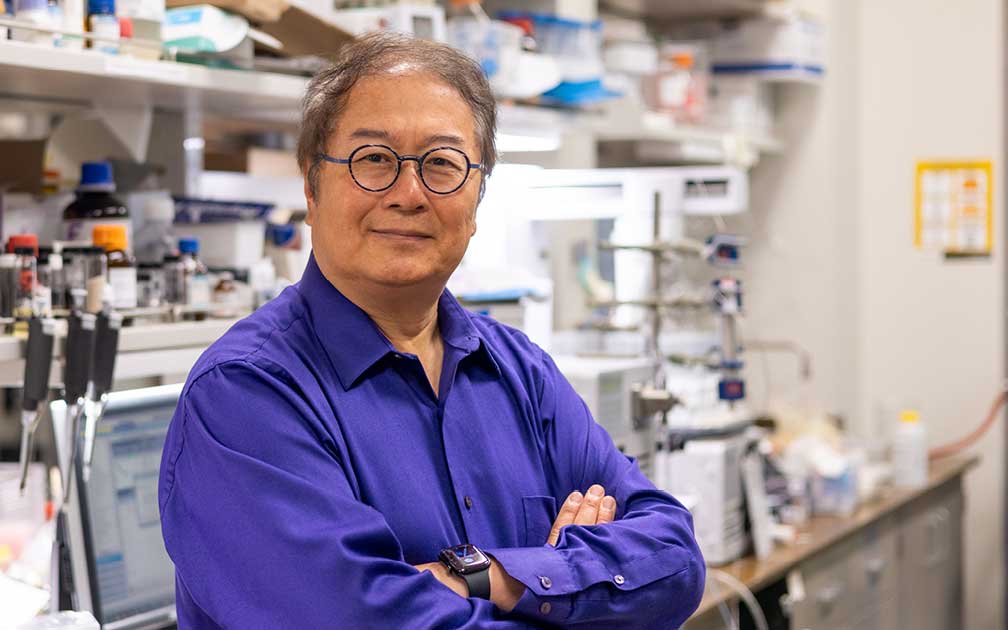 Purdue small-molecule inhibitors shown to promote robust antitumor immunity